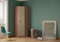 Шкаф угловой Эра (Ясень шимо темный/Ясень шимо светлый)